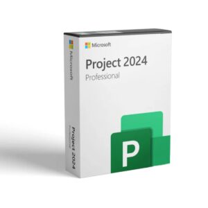 Project profesional 2024