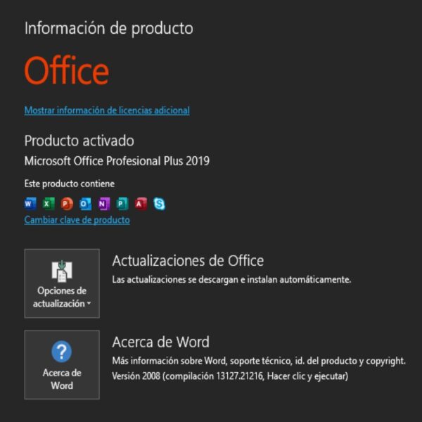 Office 2019 Profesional Plus - Imagen 2